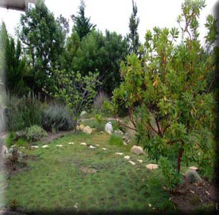 Cottage Xeriscape Garden